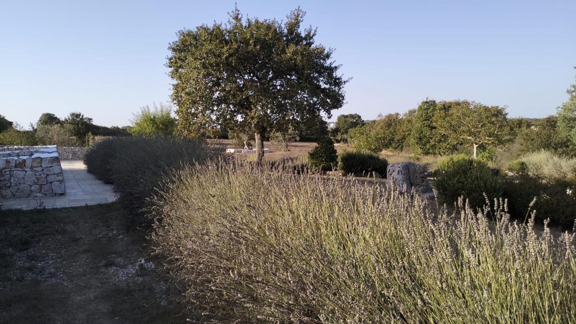 Trullo Dimora Podere Papilio ノーチ エクステリア 写真